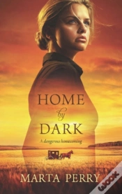 Capa do artigo Home By Dark