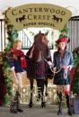 Home For Christmas - Preview