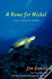 Capa do artigo Home For Nickel
