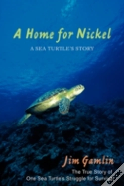 Capa do artigo Home For Nickel