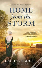 Capa do artigo Home From The Storm