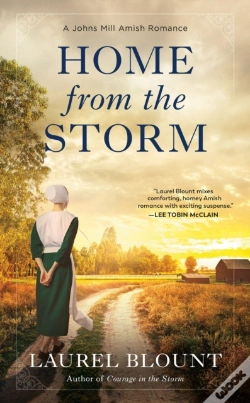 Capa do artigo Home From The Storm