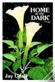 Capa do artigo Home In The Dark