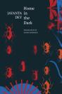 Home In The Dark - Preview