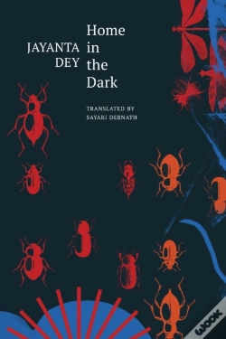 Capa do artigo Home In The Dark