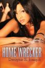 Home Wrecker - Preview