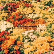 Capa do artigo Home Wrecking Years - CD