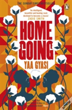 Capa do artigo Homegoing