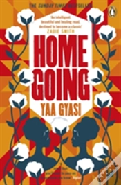 Capa do artigo Homegoing