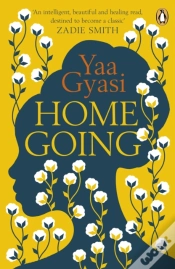 Capa do artigo Homegoing