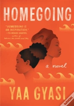 Capa do artigo Homegoing