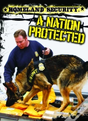 Capa do artigo Homeland Security