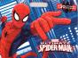 Homem-Aranha - Preview