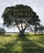 Homenaje A Los Árboles - Preview