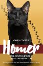 Homer - Preview