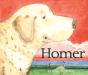 Homer - Preview