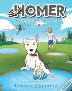 Capa do artigo Homer