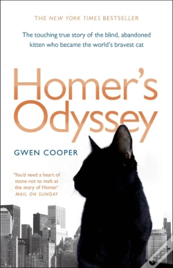 Capa do artigo Homer'S Odyssey