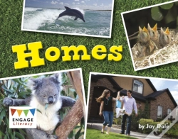 Capa do artigo Homes