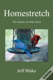 Capa do artigo Homestretch
