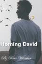 Homing David - Preview