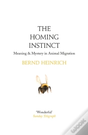 Capa do artigo Homing Instinct