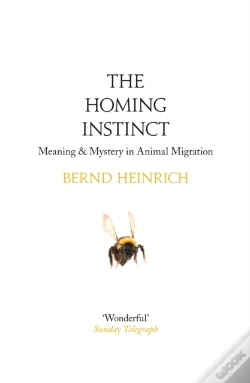 Capa do artigo Homing Instinct