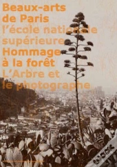 Hommage À La Forêt ; L'Arbre Et Le Photographe