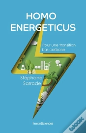 Capa do artigo Homo Energeticus : Pour Une Transition Bas Carbone