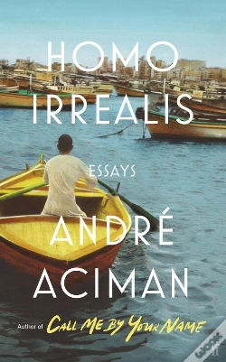 Capa do artigo Homo Irrealis