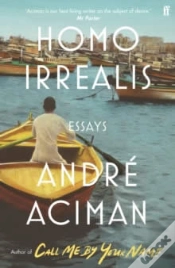 Capa do artigo Homo Irrealis