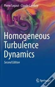 Capa do artigo Homogeneous Turbulence Dynamics
