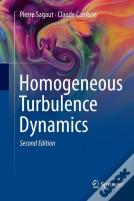 Homogeneous Turbulence Dynamics