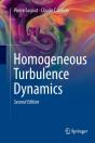 Homogeneous Turbulence Dynamics - Preview