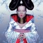 Homogenic - Vinil - Preview