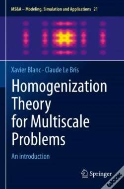 Capa do artigo Homogenization Theory For Multiscale Problems