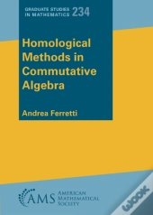Homological Methods In Commutative Algebra