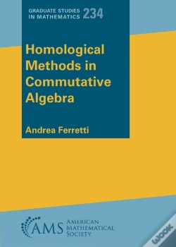 Capa do artigo Homological Methods In Commutative Algebra