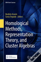 Homological Methods, Representation Theory, And Cluster Algebras