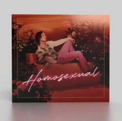 Capa do artigo Homosexual - Vinil