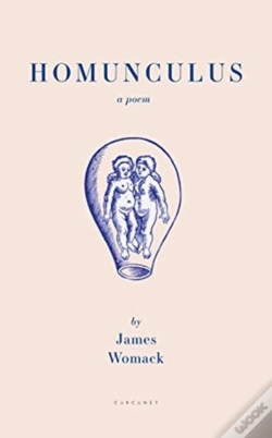 Capa do artigo Homunculus