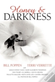 Capa do artigo Honey And Darkness