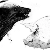 Capa do artigo Honey Badger/Pig - Vinil