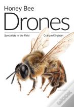 Honey Bee Drones