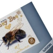 Capa do artigo Honey Bee