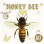 Honey Bee - Preview