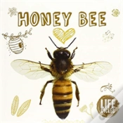Capa do artigo Honey Bee