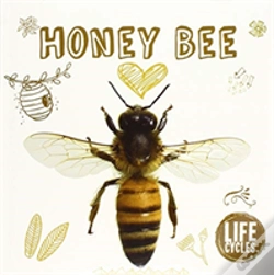 Capa do artigo Honey Bee