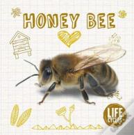 Honey Bee