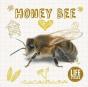 Honey Bee - Preview
